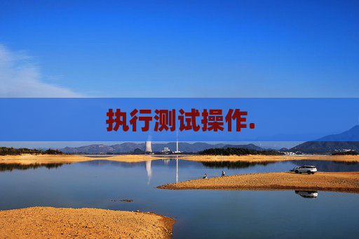 执行测试操作.